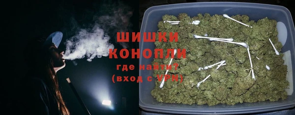 крисы Баксан