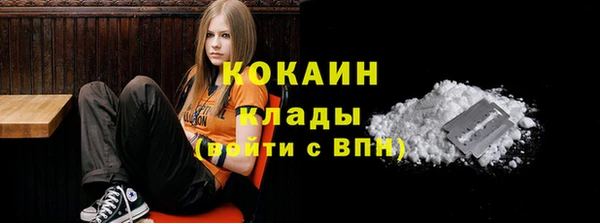 соль ск Арсеньев