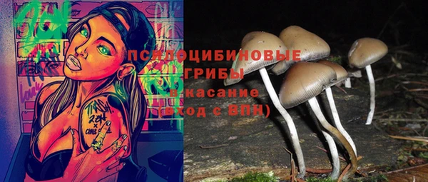 крисы Баксан