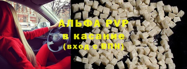 крисы Баксан