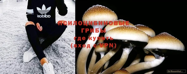 МДПВ Балахна